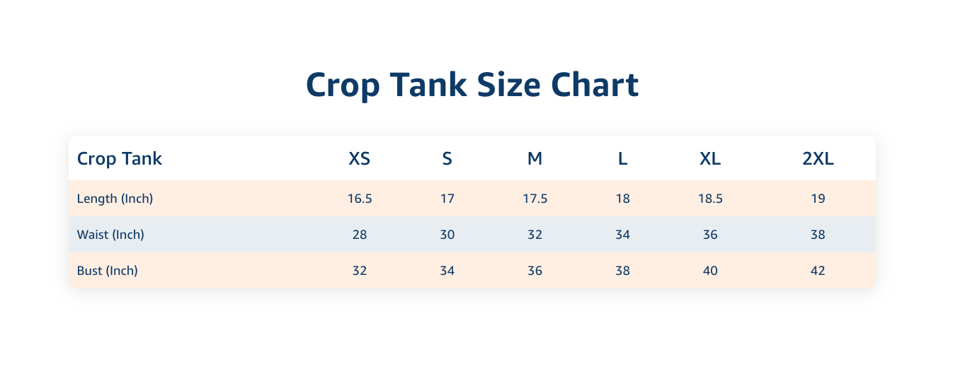 Faith Promise - Crop Tank